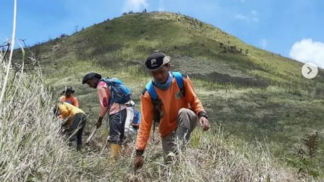Gunung Merbabu