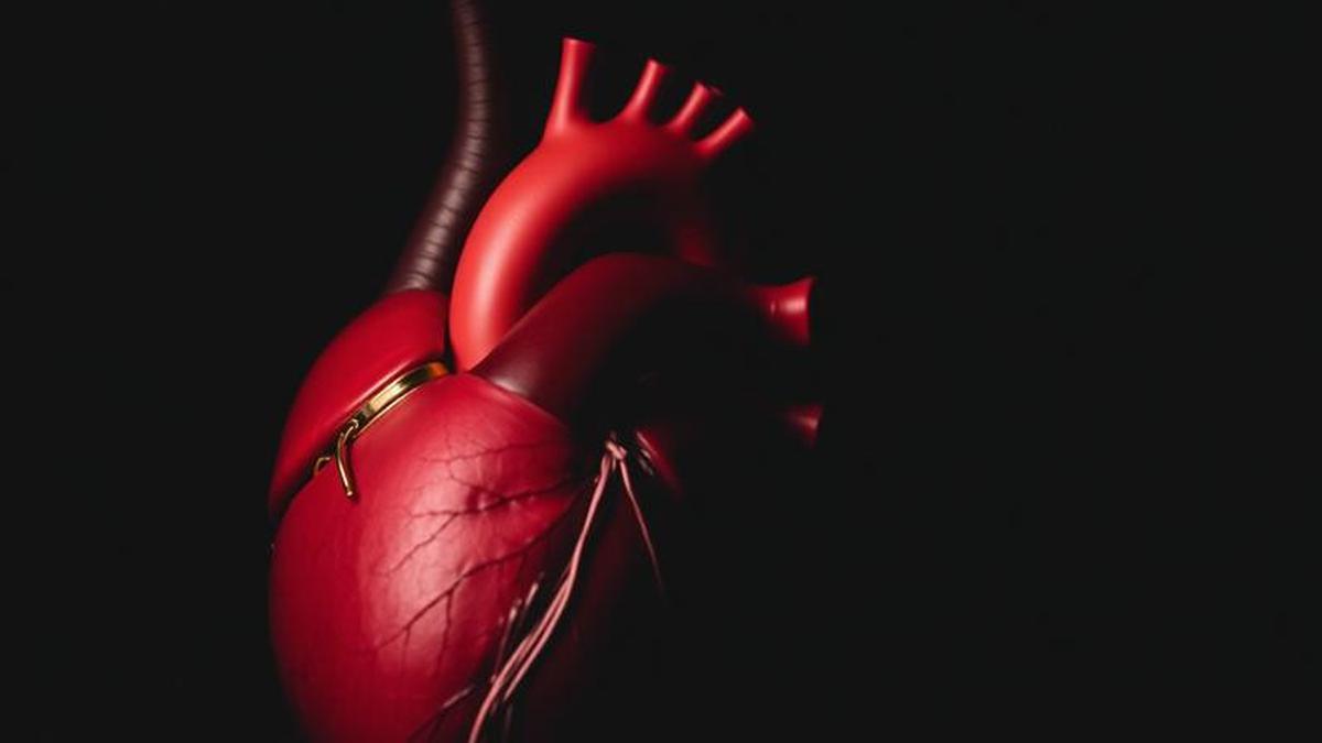 Jaga Kesehatan Jantung, Ini 5 Cara Sederhana yang Bisa Diterapkan Sejak Usia Muda