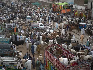 Orang-orang berkerumun di pasar ternak menjelang festival Muslim Idul Adha di Peshawar, Pakistan (13/7/2021). Jelang Idul Adha, Pasar ternak di Peshawar, Pakistan mulai sibuk menjual hewan kurban. (AFP/Abdul Majeed)