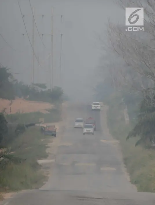 Sejumlah kendaraan melintas saat kabut asap menyelimuti Kota Pekanbaru, Riau, Selasa (10/9/2019). Kabut asap akibat kebakaran hutan dan lahan (karhutla) tersebut menurunkan jarak pandang dan kualitas udara turun ke status tidak sehat. (Liputan6.com/Faizal Fanani)