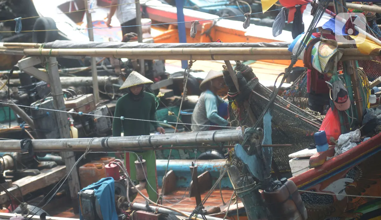 Aktivitas nelayan di dermaga Kampung Nelayan Cilincing, Jakarta, Kamis (2/9/2021).  Penurunan jumlah nelayan Indonesia dari tahun ke tahun dinilai menjadi ironi di tengah meningkatnya kebutuhan konsumsi ikan di masyarakat pada masa pandemi Covid-19.  (merdeka.com/Imam Buhori)
