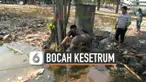 V Bocah Kesetrum