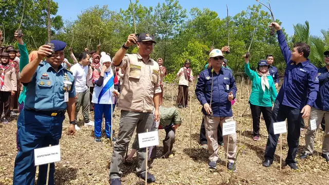 Penanaman mangrove di Arboretum Mangrove, Ujung Alang, Kampung Laut, Cilacap dalam Field Trip yang merupakan rangkaian ICoMIRE 2019. (Foto: Liputan6.com/UNSOED/Muhamad Ridlo)