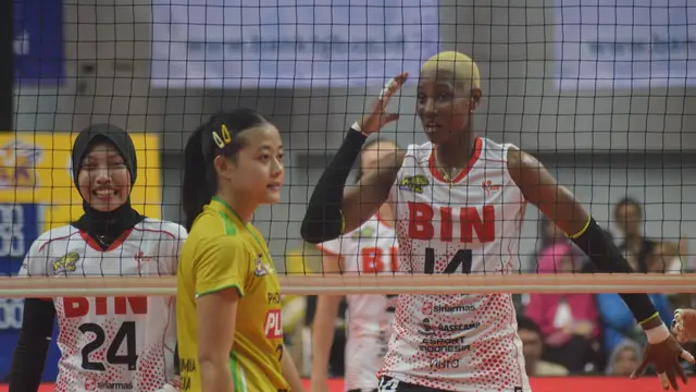 PLN Mobile Proliga 2024, Jakarta Bin, Bandung