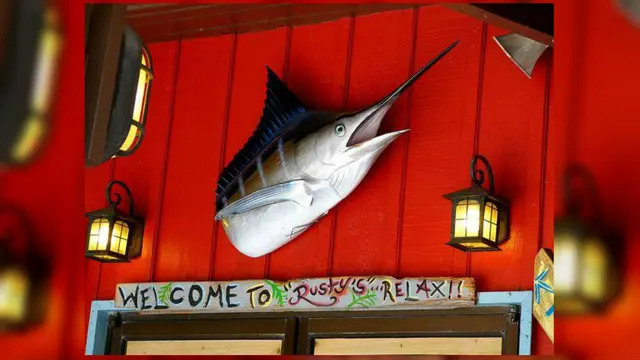 7 Kematian Aneh di Tahun 2015 06