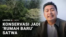 Kawasan konservasi Tambling, tidak hanya menjadi rumah bagi harimau sumatera, namun juga berbagai jenis satwa dan vegetasi.