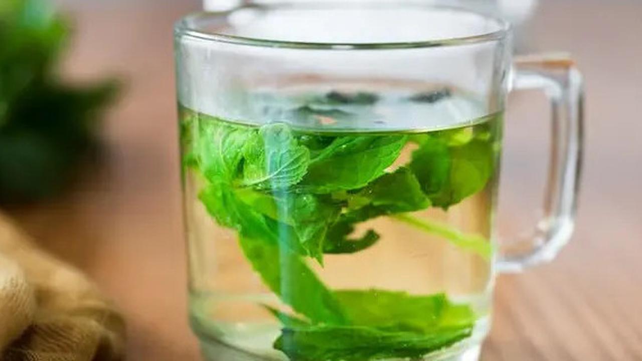 Dari Daun Kersen hingga Salam, Ini Resep Alami Turunkan Kolesterol