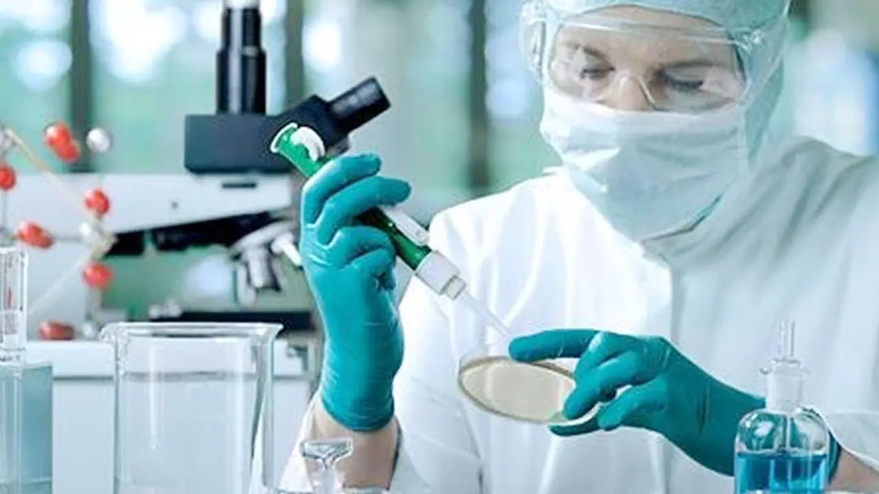 stemcell-2