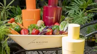 Parfum Beraroma Sayur Jadi Tren Baru, Ada Wangi Beetroot hingga Butternut