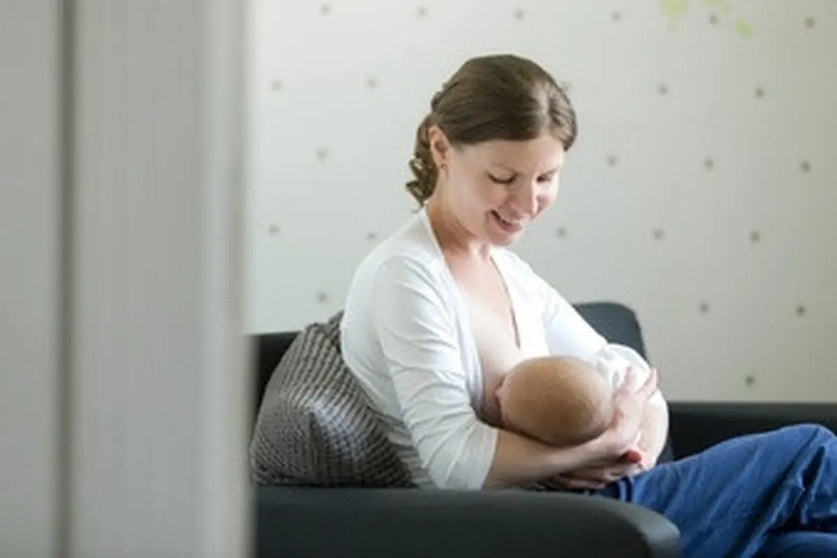 Bahan alami memperlancar ASI /dok. Shutterstock