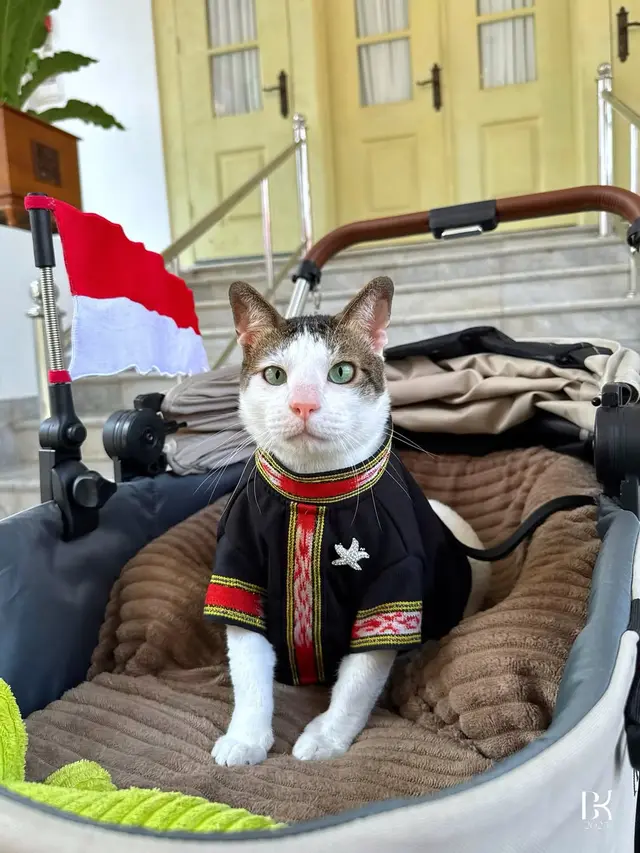 Foto Bobby Kertanegara Pakai Tenun Tanimbar saat HUT Ke-80 Kemerdekaan RI/Instagram Bobby Kertanegara
