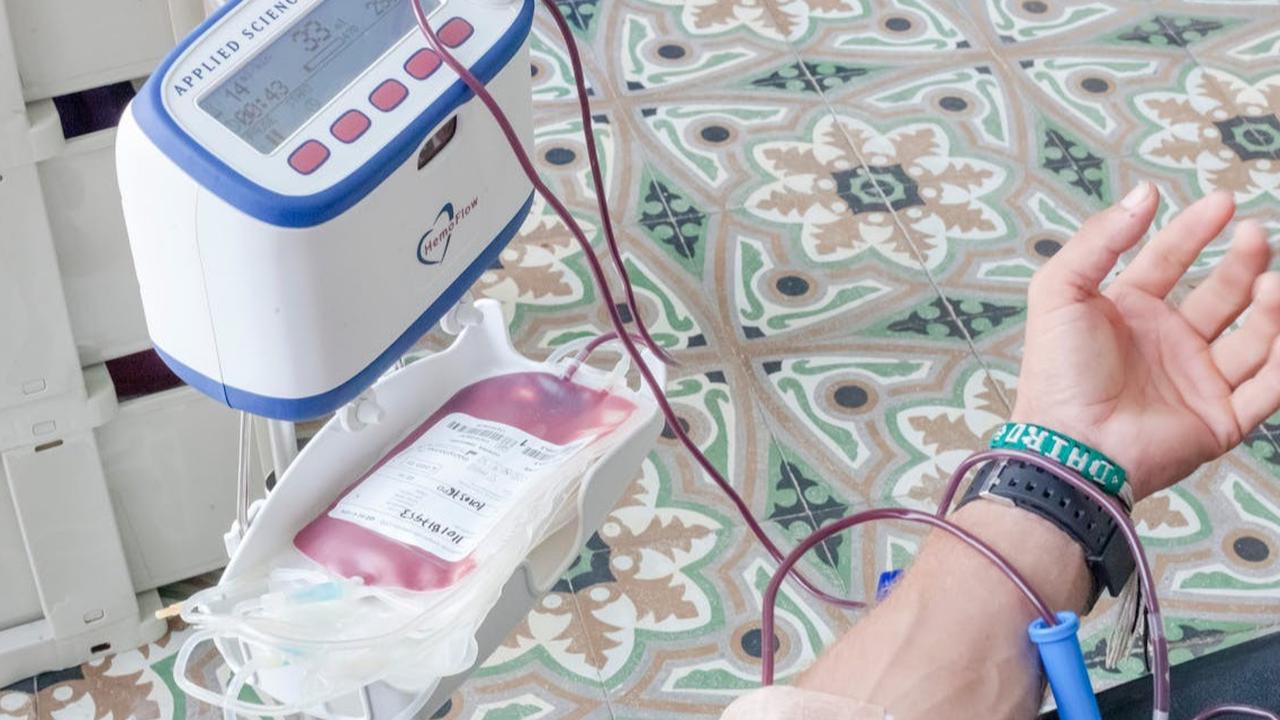 Setetes Darah, Sejuta Pahala: Menelusuri Hukum Donor Darah dalam Islam di Hari Donor Darah Sedunia