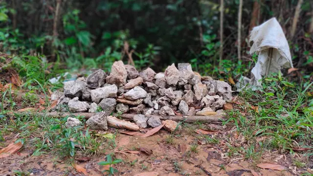 Asa Suku Batin Sembilan di Hutan Harapan