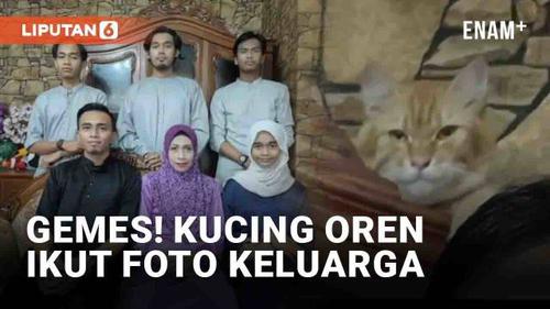 VIDEO: Gemes! Kucing Oren Tiba-Tiba Muncul Ikut Foto Keluarga