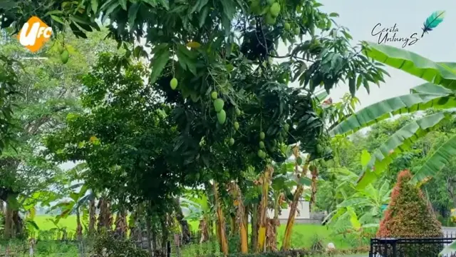 Potret rumah Arie Untung di Klaten, Jawa Tengah