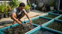 9 Jenis Ikan Konsumsi yang Cepat Besar dan Hemat Pakan untuk Pemula, Pahami Sebelum Budidaya