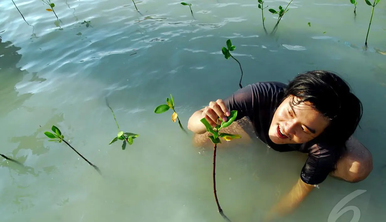Menanam mangrove menjadi kegiatan yang sangat menyenangkan karena bersentuhan langsung dengan alam, Kepulauan Seribu, Jakarta Utara, Sabtu (3/5/2014) (Liputan6.com/Miftahul Hayat).