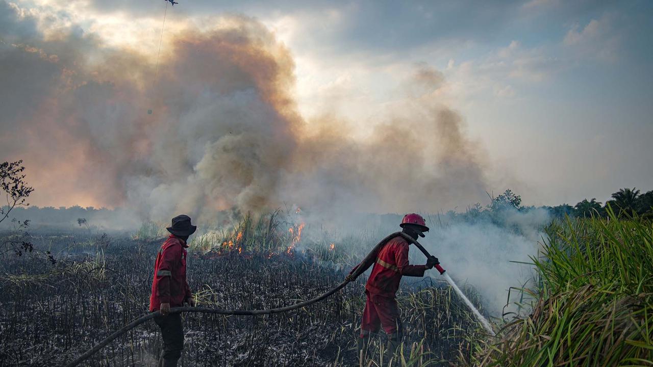 FOTO: Api Lahan Gambut di Ogan Ilir Berhasil Dipadamkan Manggala Agni dan Tim Gabungan