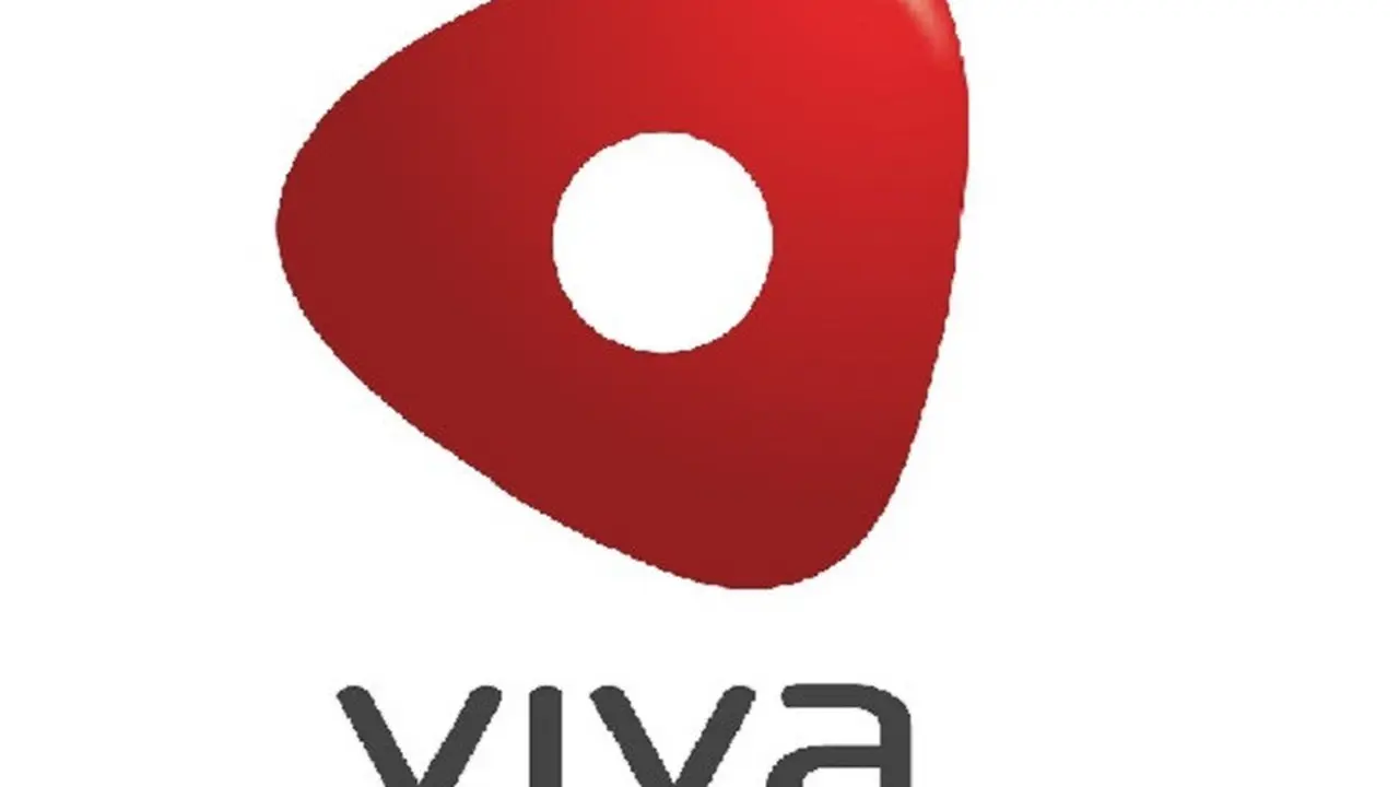 Logo Viva Group