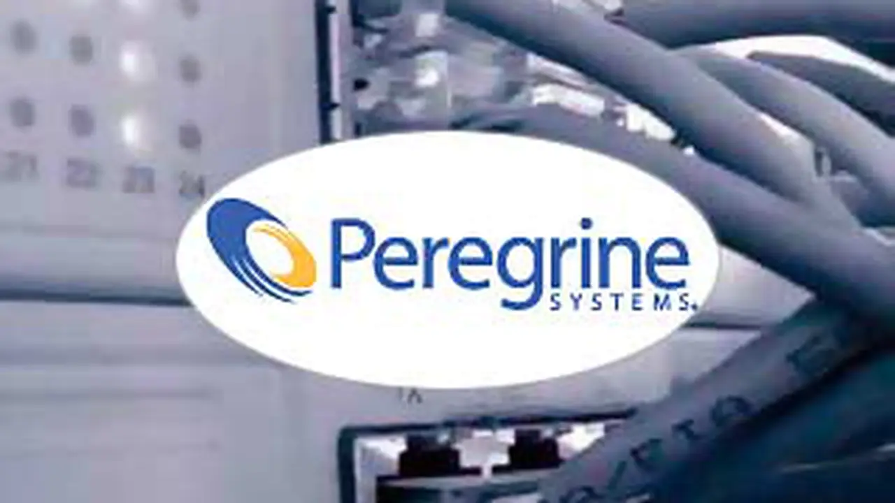 111104bperegrine.jpg