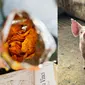 Leher Wanita Ini Tertusuk Paku Saat Makan Keripik Kulit Babi (Sumber: Ilustrasi Pexels/Carolina Grabowska dan Barbara Barbosa)