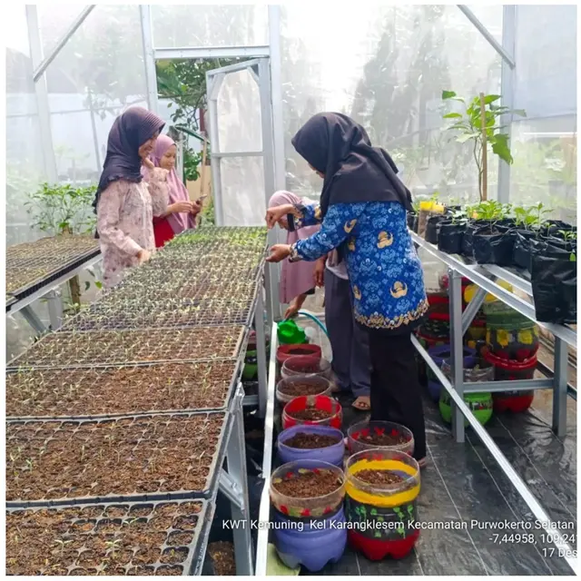 4 Cara Menyulap Pekarangan Rumah Jadi Supermarket Hidup, Kiat dari Ibu-ibu KWT