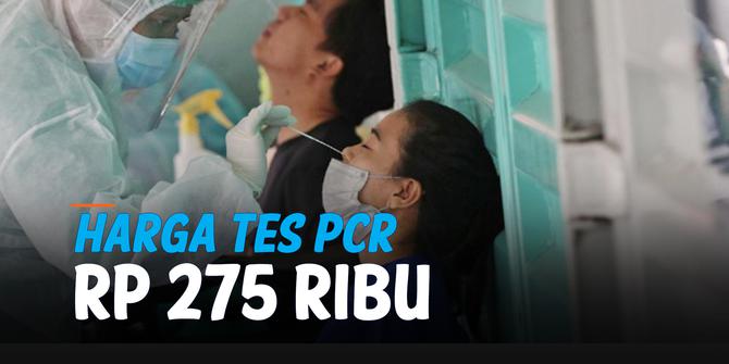 VIDEO: Catat! Harga Tes PCR Covid-19 Jawa-Bali Turun Jadi Rp 275 Ribu