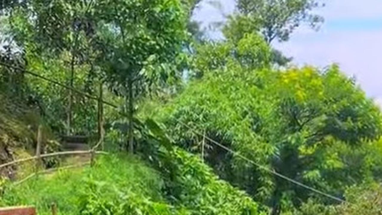 Kisah Mata Air Campaka Surga Tersembunyi di Bandung, Dulu Disinggahi Sunan Kalijaga