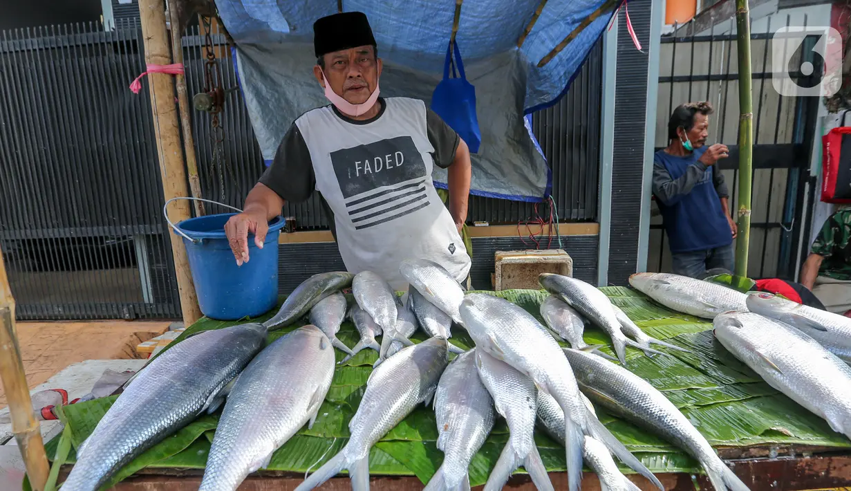 Pedagang ikan bandeng menunggu pembeli di kawasan Rawa Belong, Jakarta, Rabu (10/2/2021). Menjelang perayaan Imlek atau Tahun Baru China, penjualan ikan bandeng tambak sepi pembeli akibat pandemi Covid-19 dibanding tahun sebelumnya. (Liputan6.com/Fery Pradolo)