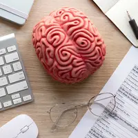 Skala kecerdasan otak manusia menurut penelitian Hartshorne dan Germine. (Foto: Freepik)