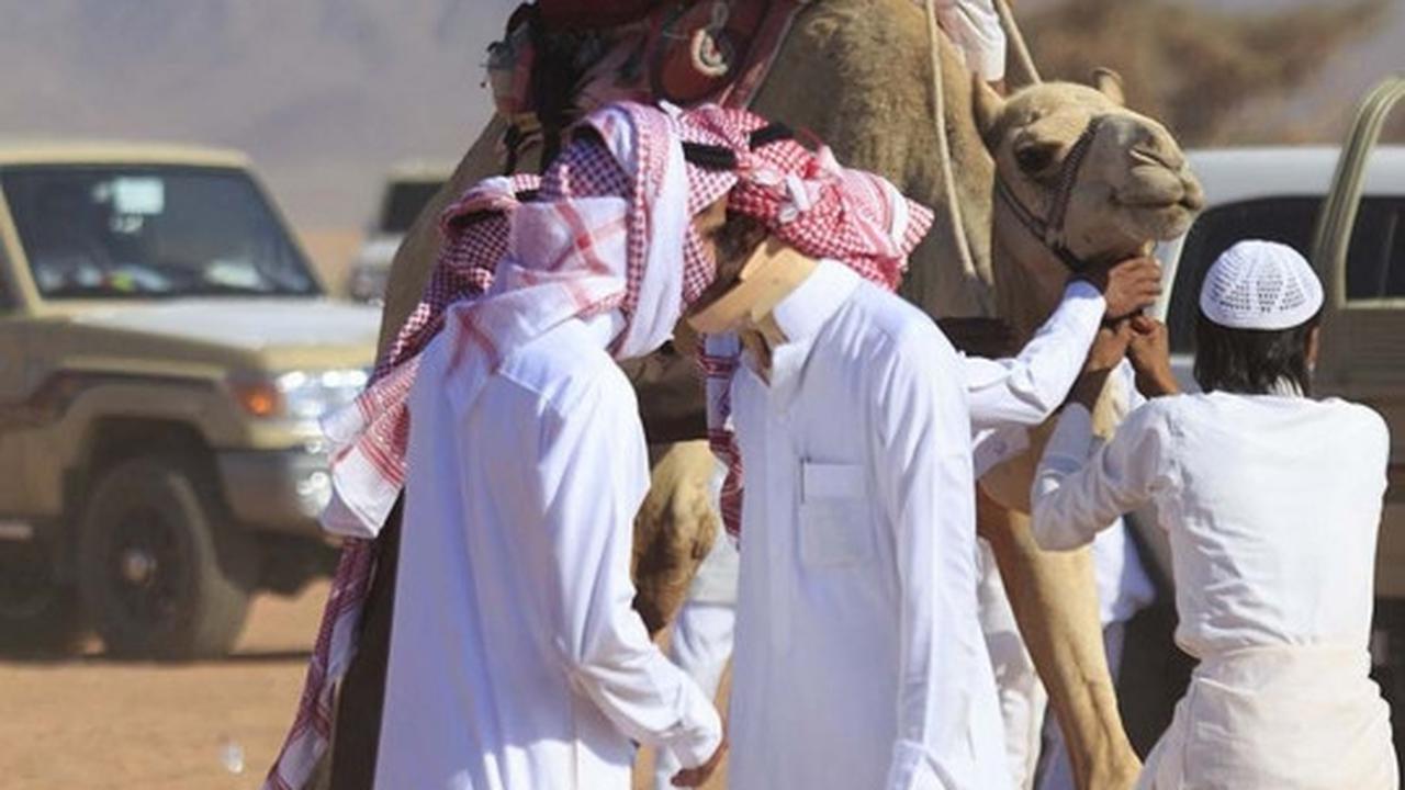 Tradisi balap unta meriahkan Idul Fitri di Arab Saudi