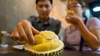 Pengunjung memakan durian di kafe Mao Shan Wang di Singapura (26/1). Restoran yang menyediakan beragam aneka rasa durian ini telah menarik banyak pengunjung untuk datang mencicipi buah durian di kafe tersebut. (AFP Photo/Nicholas Yeo)
