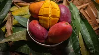 9 Arti Mimpi Memetik Buah Mangga, Pertanda Mendapatkan Rezeki Berlimpah