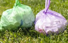 Harga Plastik Naik, Pramono Minta Warga Jakarta Tak Panic Buying