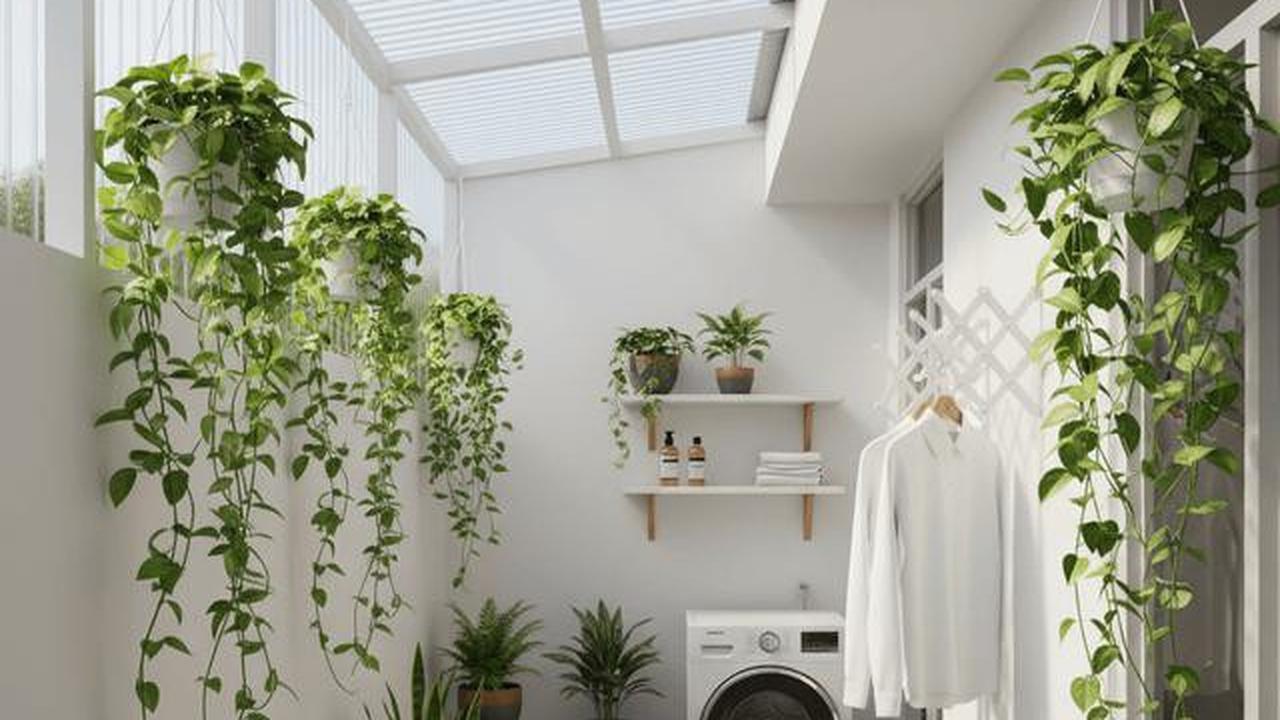 7 Desain Teras Rumah Sempit Muat untuk Usaha Laundry, Solusi Bisnis Rumahan Efisien