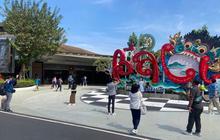 Jumlah Penumpang Bandara Ngurah Rai Tembus 22 Juta hingga November 2025, Naik 1 Persen