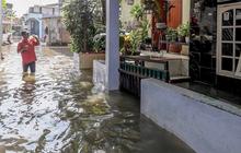 Tembok Rumah Jadi Kotor & Jamuran Akibat Banjir, ini Cara Ampuh Mengatasinya