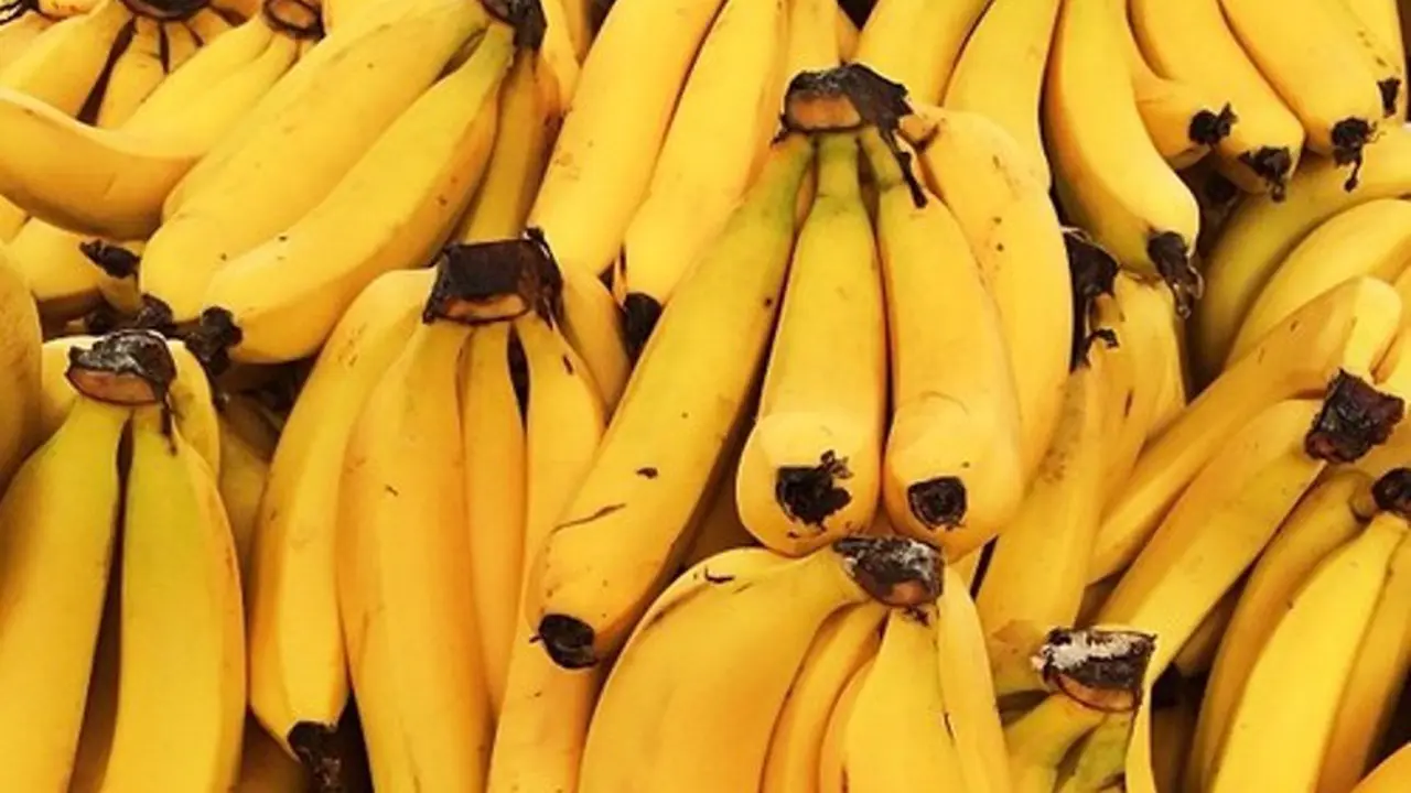Manfaat-manfaat Kesehatan dari Makan 3 Buah Pisang Setiap Hari