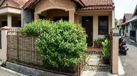 12 Tanaman yang Cocok untuk Pagar Hidup Sekaligus Pengusir Nyamuk, Alternatif Alami