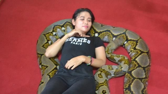 Persahabatan Unik Gadis Cantik Dengan Rambo Si Ular Piton Raksasa