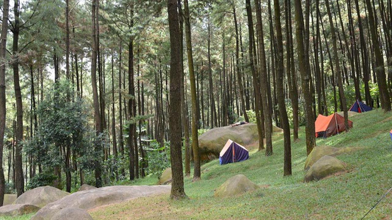 <b>Gunung Pancar</b><br>