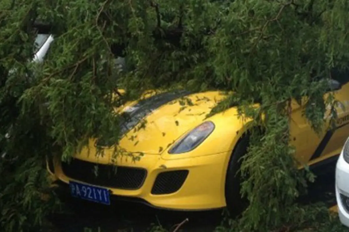 Ferrari 599 GTO Tertimpa Pohon (carnewschina)