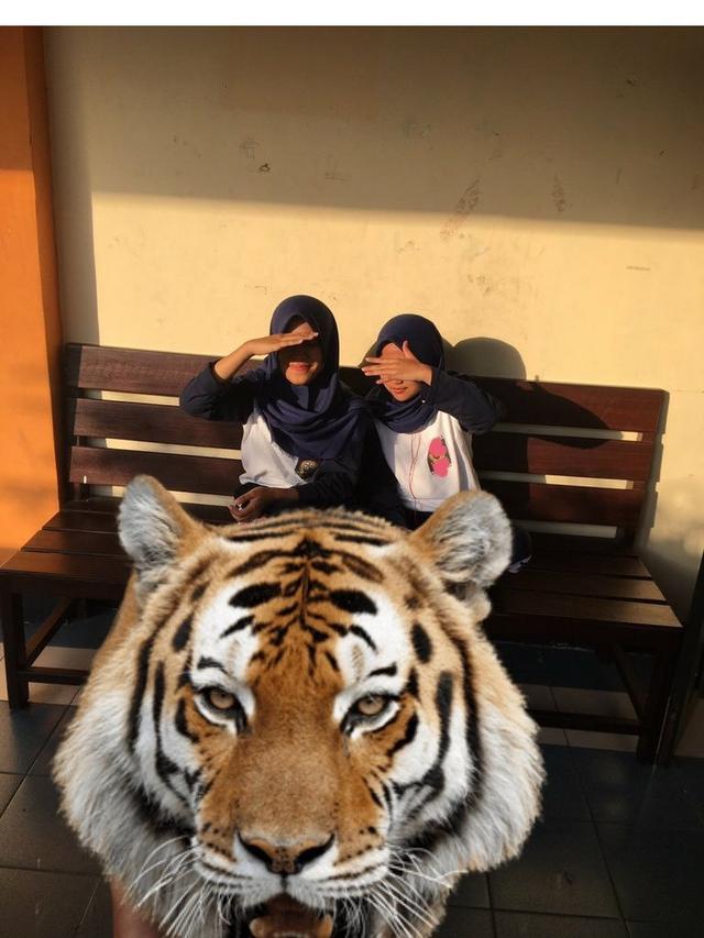 Wanita Ini Minta Diedit Foto Agar Hilangkan Bola, 6 Hasilnya Bikin Cengengesan