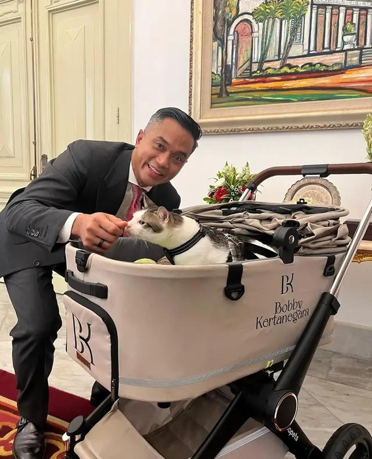 7 Potret Bobby Kucing Prabowo di Pelantikan Presiden, Jadi Penghuni Istana