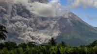 Asap tebal mengepul saat erupsi Gunung Merapi terlihat dari desa Tunggularum di Sleman pada 11 Maret 2023. Gunung Merapi di perbatasan Provinsi Jawa Tengah dan Daerah Istimewa Yogyakarta (DIY) erupsi pada Sabtu (11/3/2023). Imbasnya, meluncurkan awan panas guguran ke arah Kali Bebeng atau Kali Krasak. (AFP/Devi Rahman)