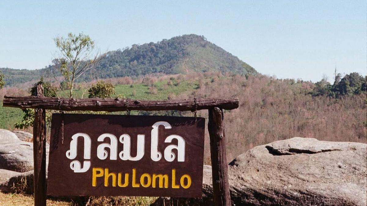 6 Fakta Menarik Gunung Phu Lom Lo di Thailand, Terkenal dengan Bunga Sakura Liar Himalaya