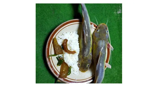 6 Potret Makan Ikan Mentah Ini Bikin Enggak Habis Pikir