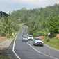 Lalu lintas Jalan Nasional Lintas Selatan (JLS) Jawa Tengah ruas Lumbir, Banyumas pada arus mudik 2018 ramai lancar. (Foto: Liputan6.com/Muhamad Ridlo)