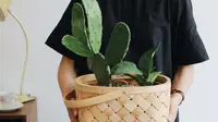 Benarkan kaktus bisa tuntaskan masalah kulit wajah kering? (unsplash.com)