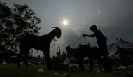Kambing diberi makan di pasar ternak menjelang Idul Adha di New Delhi, India, Selasa, 5 Juli 2022. Umat Muslim di seluruh dunia merayakan Idul Adha, atau "Hari Raya Kurban," yang memperingati kisah Al Quran tentang kesediaan Nabi Ibrahim mengorbankan anaknya sebagai bentuk ketaatan kepada Allah SWT. (AP Photo/Altaf Qadri)